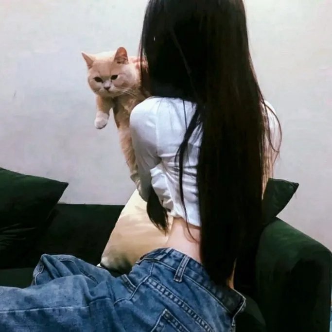欧战起缘