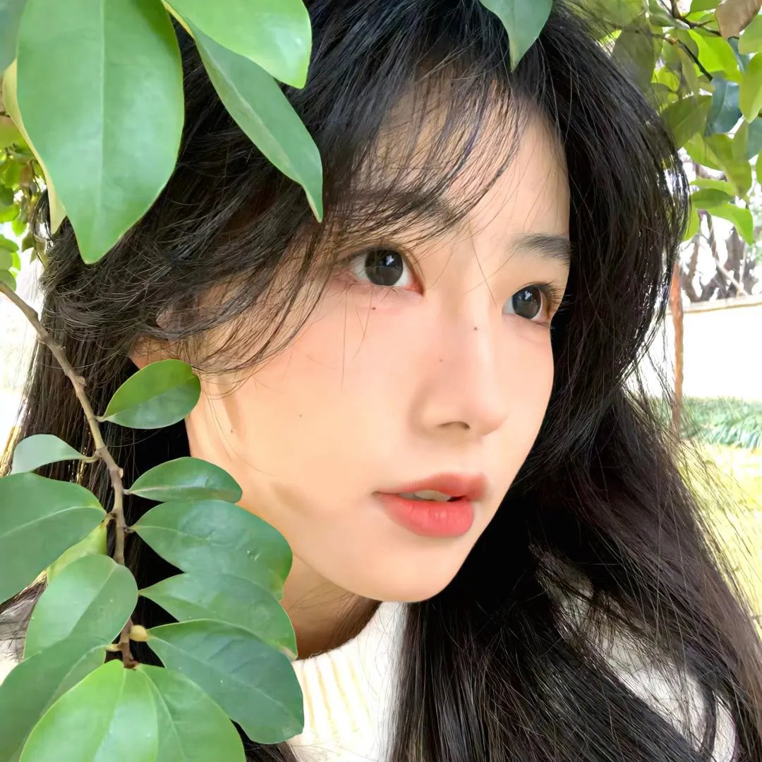 边塞丽春花
